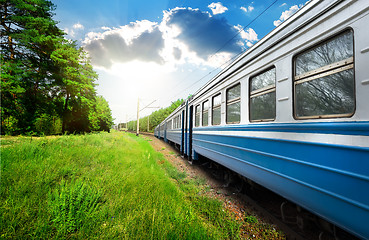 Image showing Train and pine forest