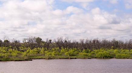 Image showing Nature\'s Beautiful Horizon Springtime Comes to Rural Countryside