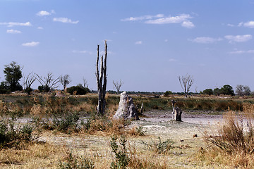 Image showing African landscape