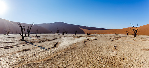 Image showing beautiful landscape of Hidden Vlei in Namib desert panorama