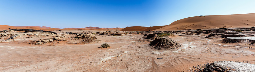 Image showing beautiful landscape of Hidden Vlei in Namib desert panorama