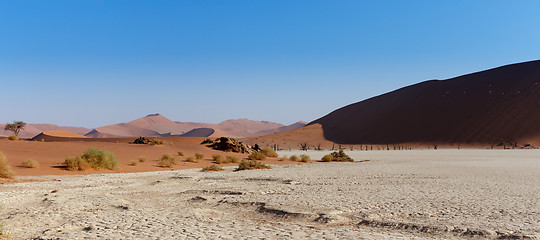 Image showing beautiful landscape of Hidden Vlei in Namib desert panorama