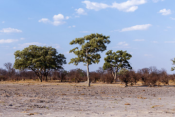 Image showing African landscape