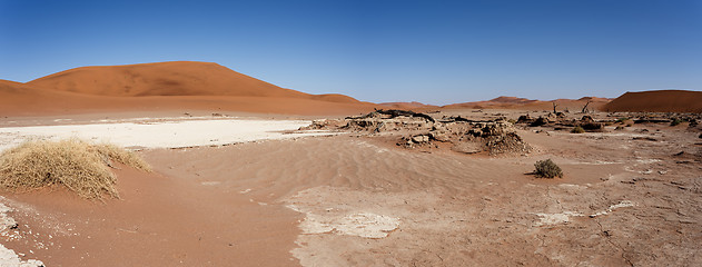 Image showing beautiful landscape of Hidden Vlei in Namib desert panorama