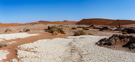 Image showing beautiful landscape of Hidden Vlei in Namib desert panorama