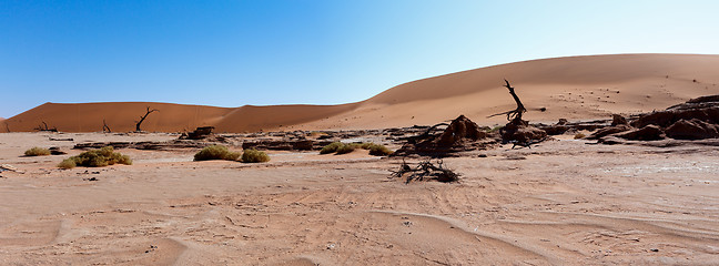 Image showing beautiful landscape of Hidden Vlei in Namib desert panorama