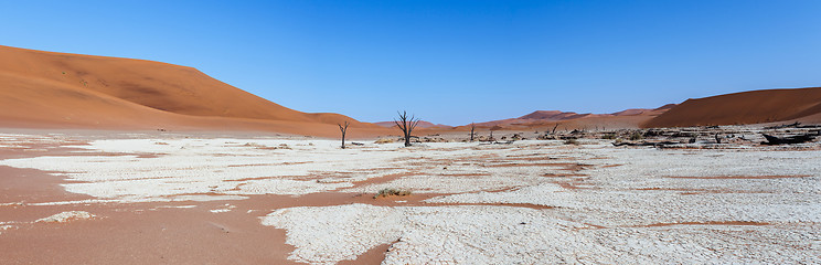 Image showing beautiful landscape of Hidden Vlei in Namib desert panorama