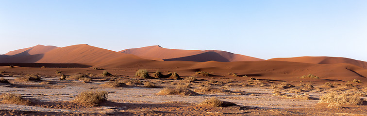 Image showing beautiful landscape of Hidden Vlei in Namib desert panorama