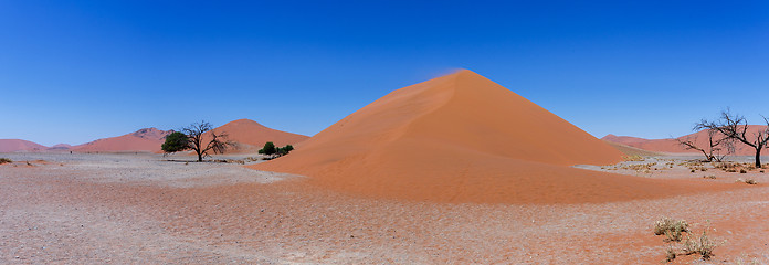 Image showing wide panorama Dune 45 in sossusvlei Namibia