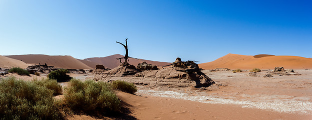 Image showing beautiful landscape of Hidden Vlei in Namib desert panorama