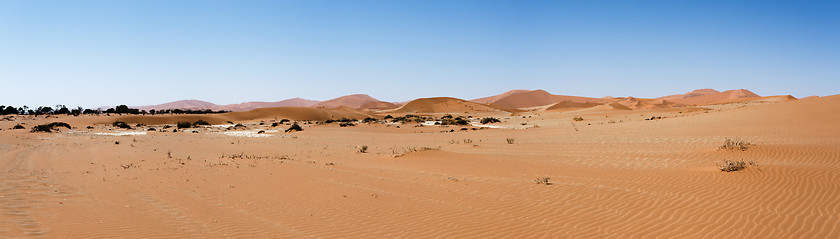 Image showing beautiful landscape of Hidden Vlei in Namib desert panorama