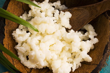 Image showing Organic probiotic milk kefir grains