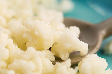 Image showing Organic probiotic milk kefir grains