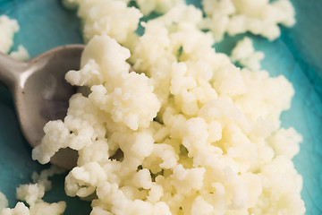 Image showing Organic probiotic milk kefir grains