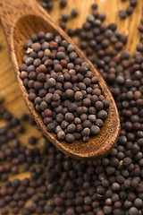 Image showing Brown mustard seeds