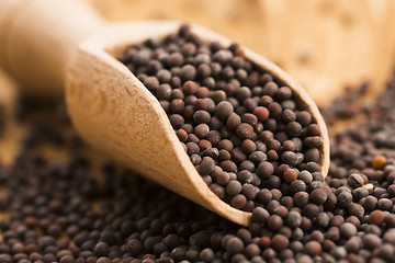 Image showing Brown mustard seeds