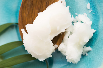 Image showing Coconut oil for alternative therapy 