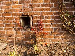 Image showing Brick wall