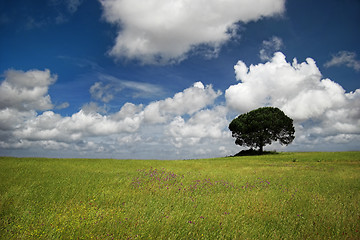 Image showing Happy tree