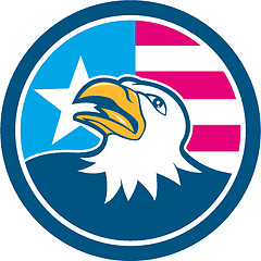 Image showing American Bald Eagle Head Flag Side Cartoon