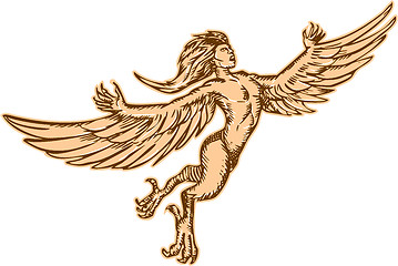 Image showing Harpy Flying Front Etching