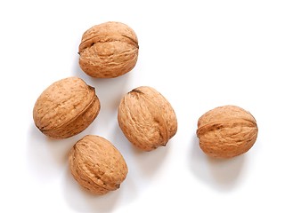 Image showing Walnuts