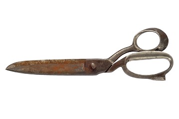 Image showing Old Scissors