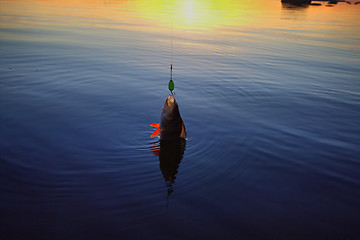 Image showing Sunset river perch fishing with the boat and a rod