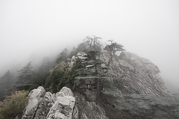 Image showing  top of mountain in fog