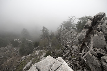 Image showing  top of mountain in fog