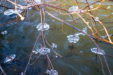 Image showing natural surroundings spring is everywhere