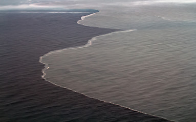 Image showing Glacier milk