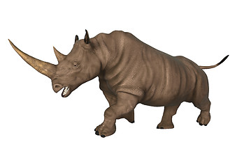 Image showing Rhinoceros