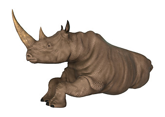 Image showing Rhinoceros