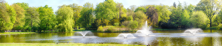 Image showing Panoramic view on park