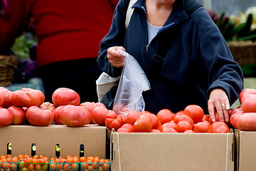 Image showing Picking fresh vegetables