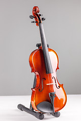 Image showing Violin front view isolated on gray