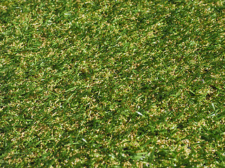 Image showing Green artificial synthetic grass meadow background