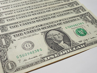 Image showing Dollar notes 1 Dollar