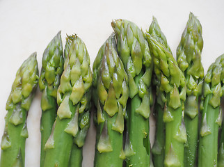 Image showing Asparagus vegetable