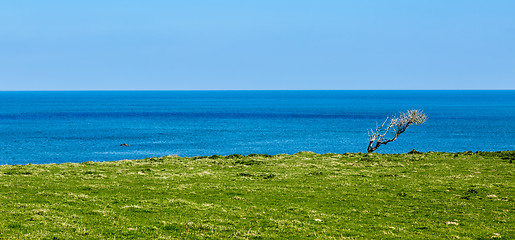 Image showing Green Coast - Brittany, France