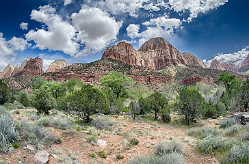 Image showing Colorful Zion Canyon National Park Utah