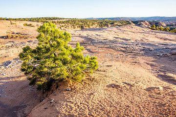 Image showing Navajo National Monument canyons