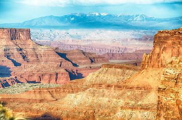 Image showing Canyonlands National park Utah