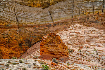 Image showing Zion Canyon National Park Utah