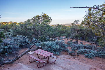 Image showing An ancient gnarled juniper tree near Navajo Monument park  utah