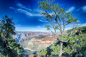 Image showing landscapes at grand canyon arizona