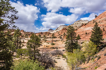 Image showing Zion Canyon National Park Utah