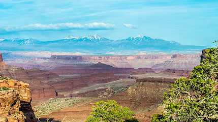 Image showing Canyonlands National park Utah