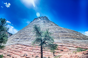 Image showing Zion Canyon National Park Utah